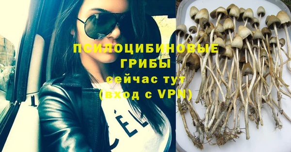 PSILOCYBIN Алексеевка