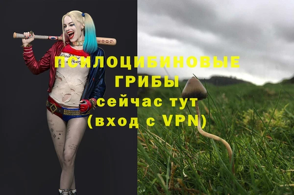 скорость mdpv Абаза