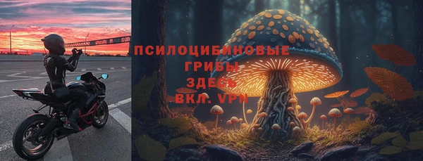 твердый Абинск