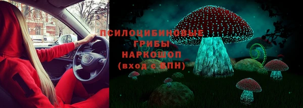 ГАЛЛЮЦИНОГЕННЫЕ ГРИБЫ Абдулино
