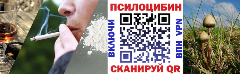 Псилоцибиновые грибы Psilocybe  Елизово 