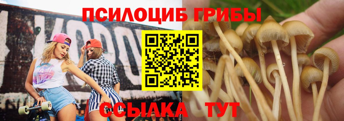 Галлюциногенные грибы Cubensis Елизово