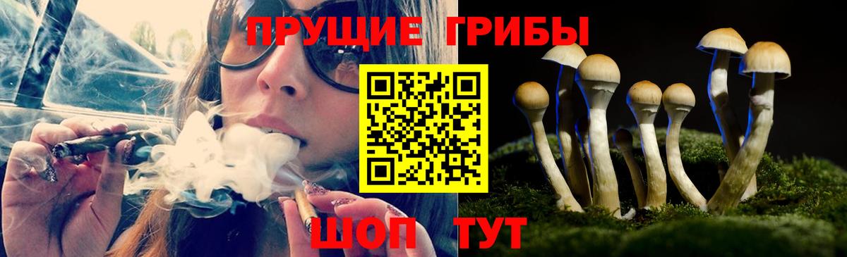 Галлюциногенные грибы Psilocybine cubensis  Вход с VPN  Елизово 